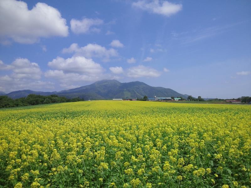 Karimpani Niseko Fujiyama Hostel Екстериор снимка